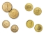 Moneda de oro de ¼ Onza, modelo de nuestra elección 