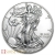 Μεγάλο Κουτί - 2020 Ασημένιο Νόμισμα 1 Ουγγιά Αμερικάνικος Αετός 