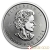 2021 1 Ounce Platinum Maple Leaf Coin
