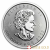 2022 1 Ounce Platinum Maple Leaf Coin
