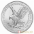 Moneta d'argento da 1 oncia dell'Aquila americana del 2022