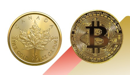 What is the Difference Between Gold and Bitcoin?