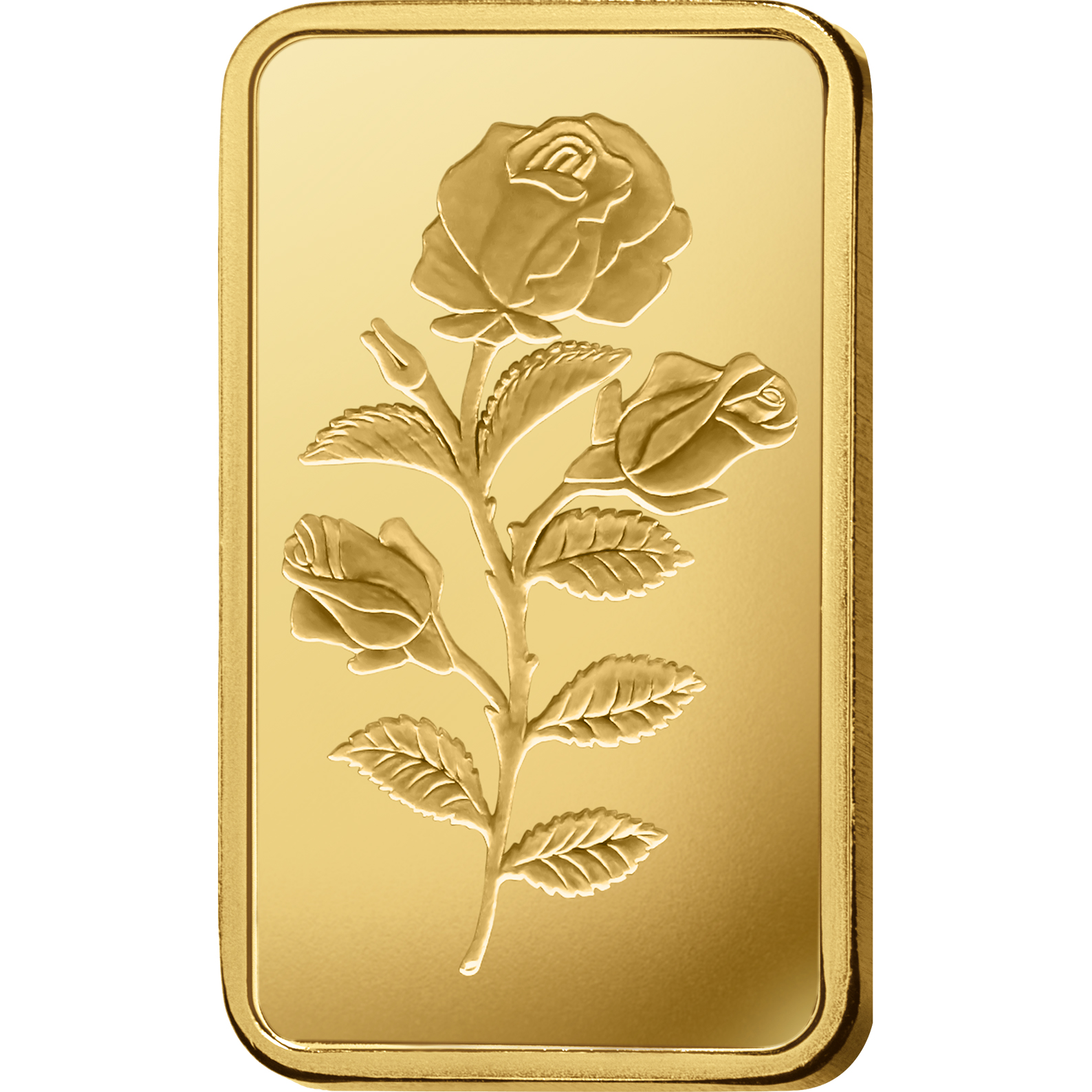 The PAMP Rosa Series the-pamp-rosa-series